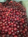 Клюква замороженная дикая электронной очистки