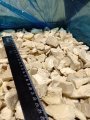 Вешенки резанные замороженные
