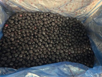 Голубика замороженная садовая