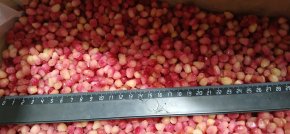 Гранат зерна замороженные Россия