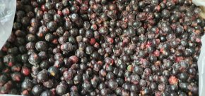 Черная смородина замороженная Россия