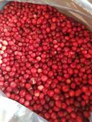 Клюква замороженная садовая А класс
