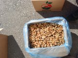 Баклажан кубик 10*10 Россия