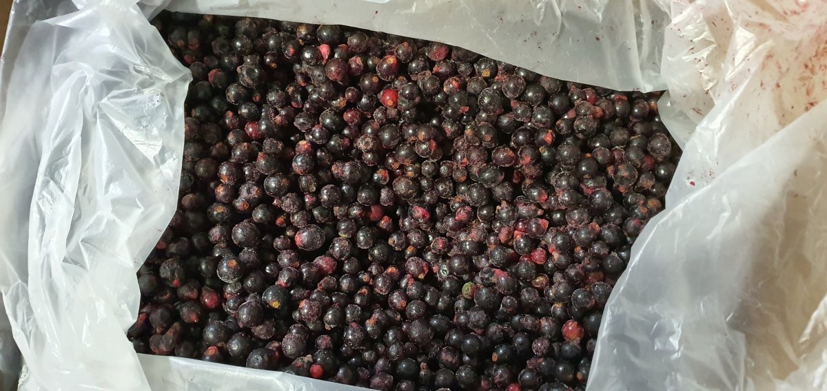 Черная смородина замороженная Россия