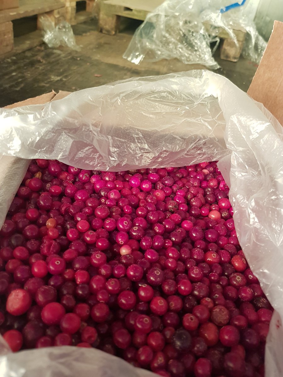Клюква замороженная дикая электронной очистки