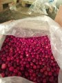 Клюква замороженная дикая электронной очистки