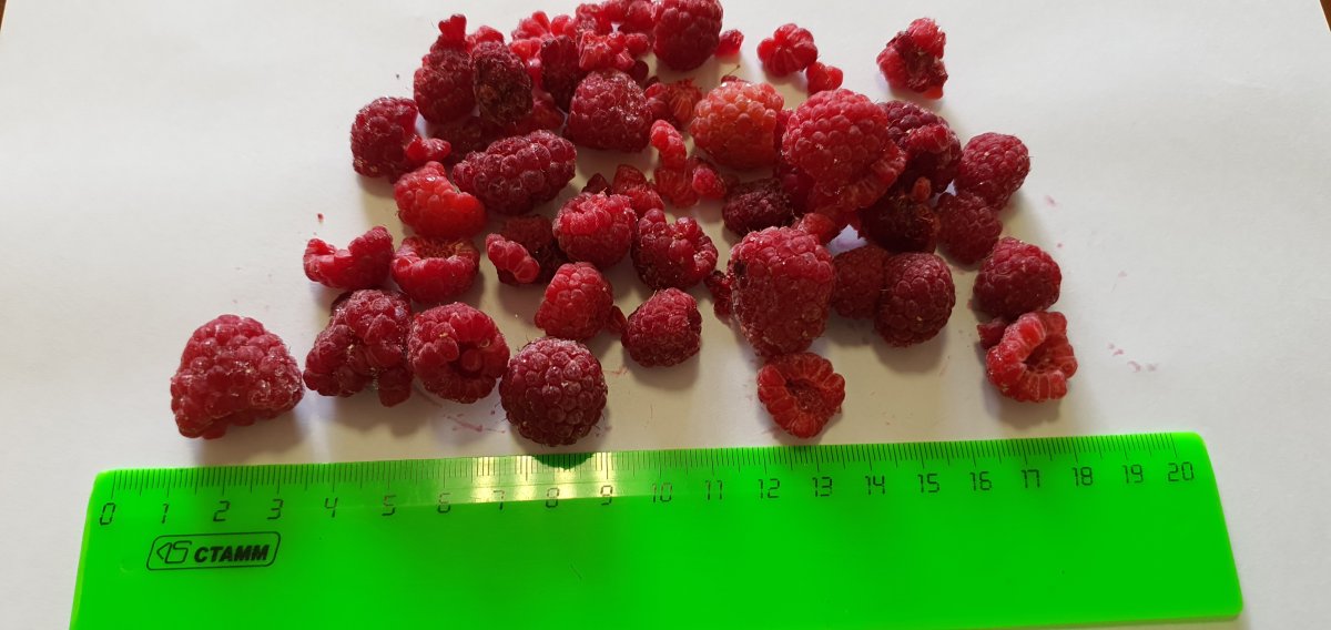 Малина экстра 4*2,5 замороженная Китай